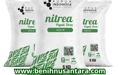 Nitrea Pupuk Urea